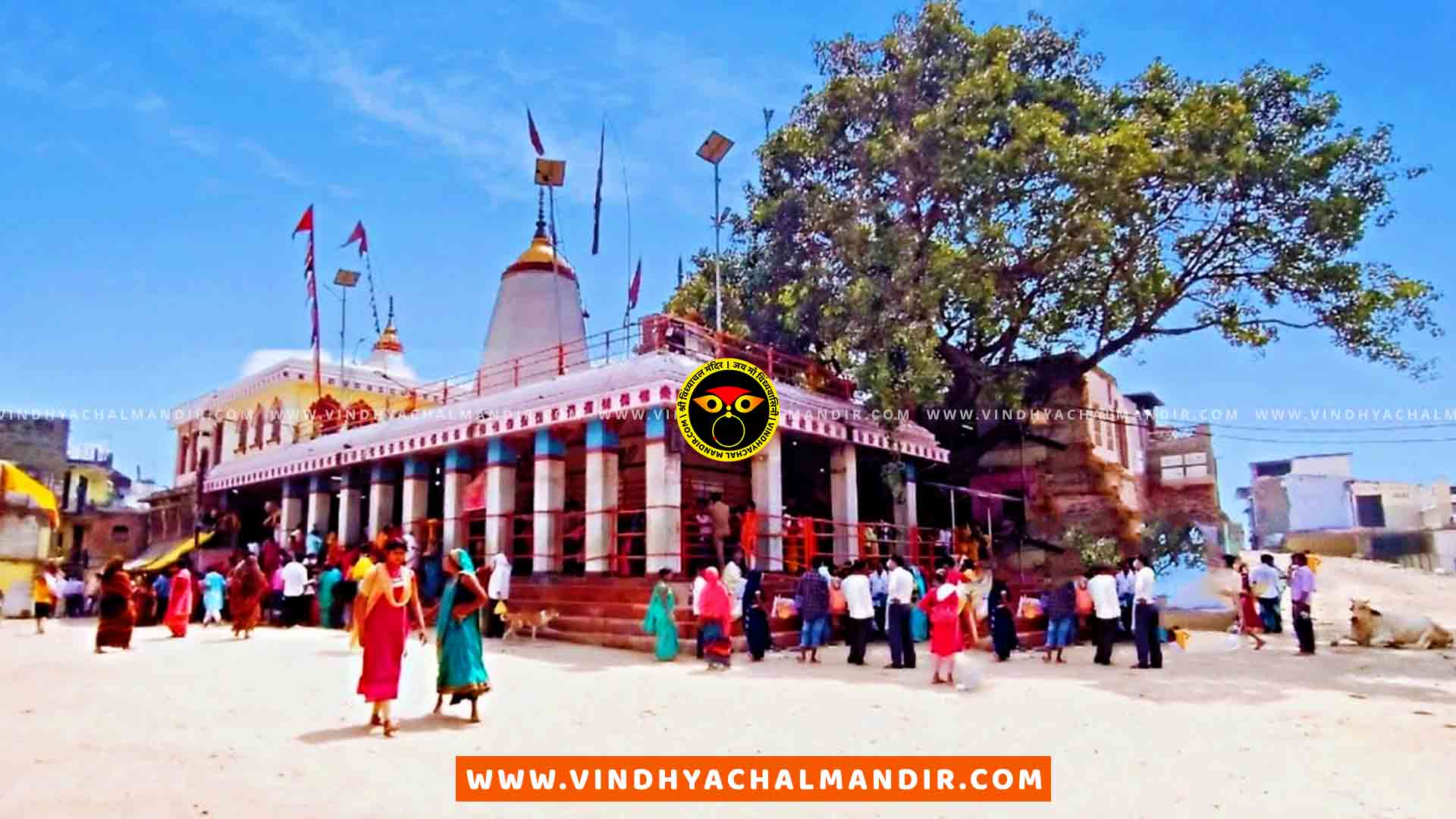Featured Image Thumbnail 1 Vindhyachal